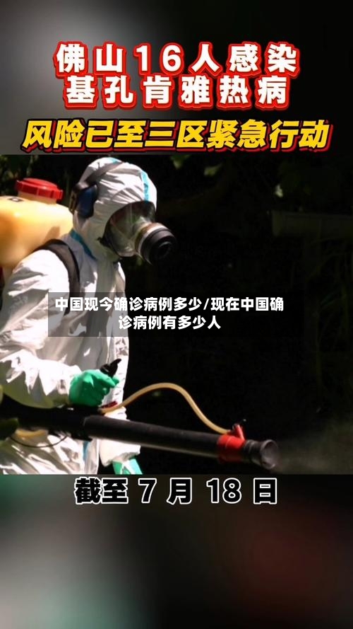 中国现今确诊病例多少/现在中国确诊病例有多少人