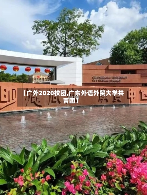 【广外2020校团,广东外语外贸大学共青团】