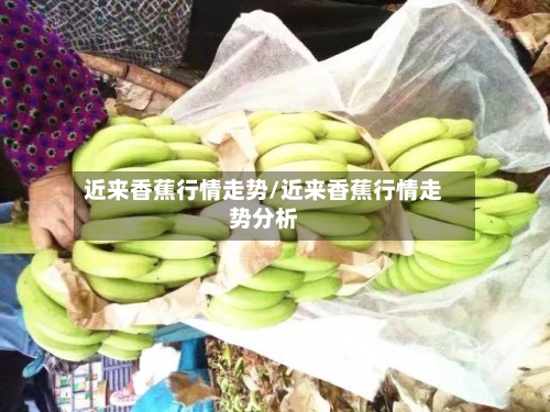 近来香蕉行情走势/近来香蕉行情走势分析