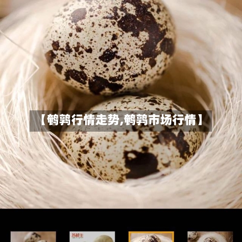 【鹌鹑行情走势,鹌鹑市场行情】