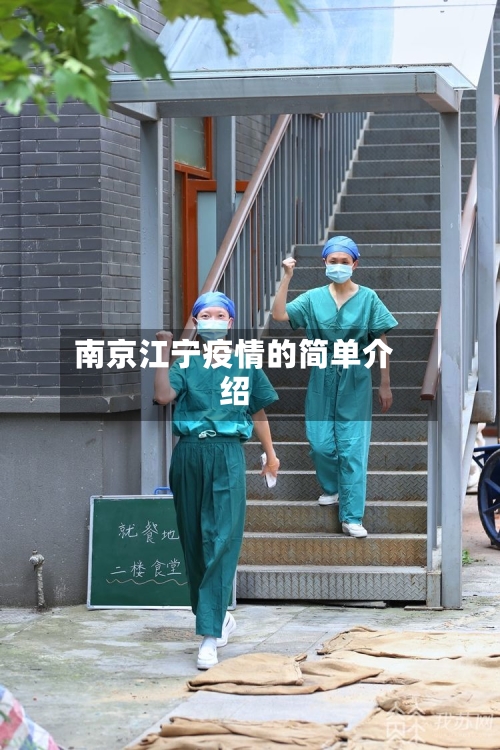 南京江宁疫情的简单介绍