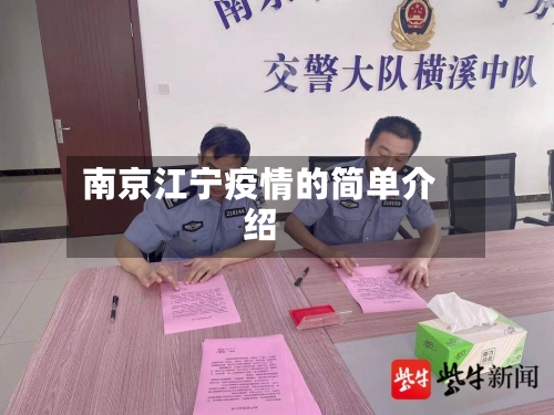 南京江宁疫情的简单介绍