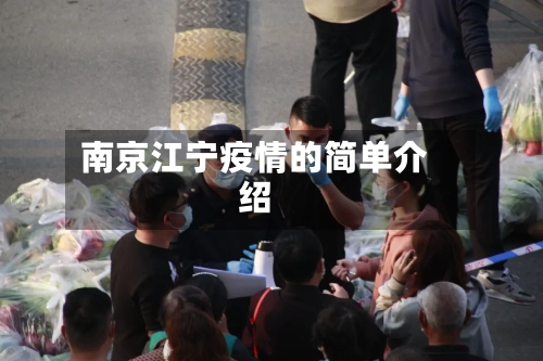 南京江宁疫情的简单介绍