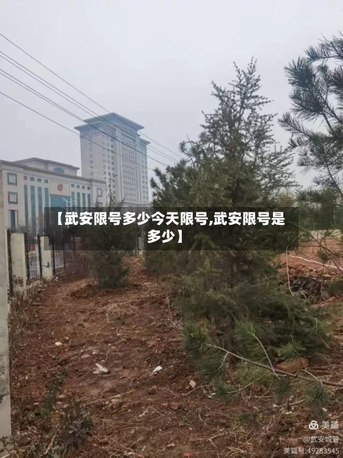 【武安限号多少今天限号,武安限号是多少】