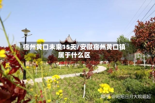 宿州黄口未来15天/安徽宿州黄口镇属于什么区