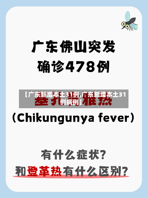【广东新增本土31例,广东新增本土31例病例】