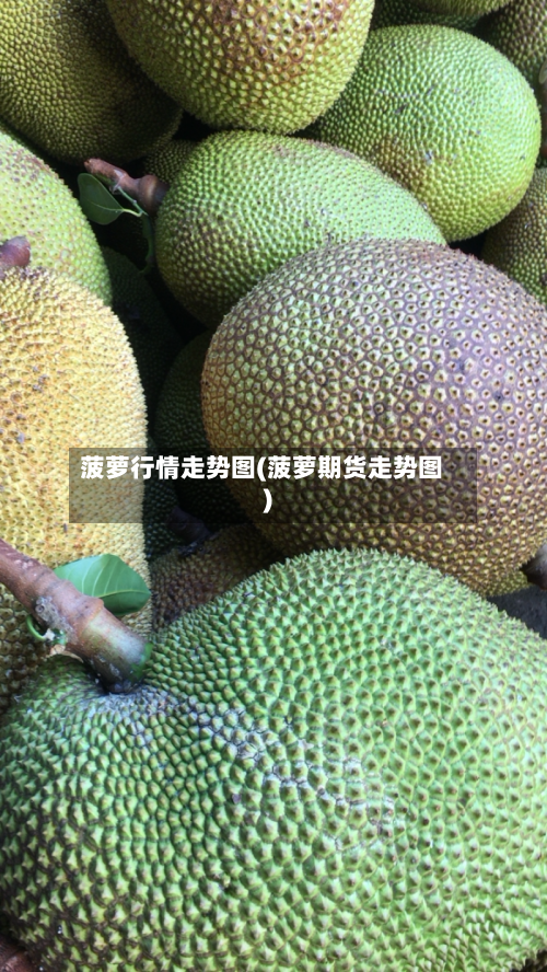 菠萝行情走势图(菠萝期货走势图)