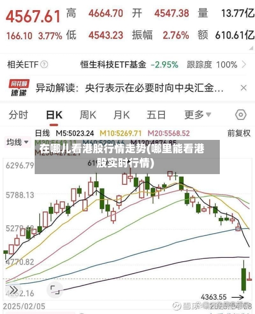 在哪儿看港股行情走势(哪里能看港股实时行情)