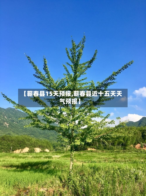 【蕲春县15天预报,蕲春县近十五天天气预报】