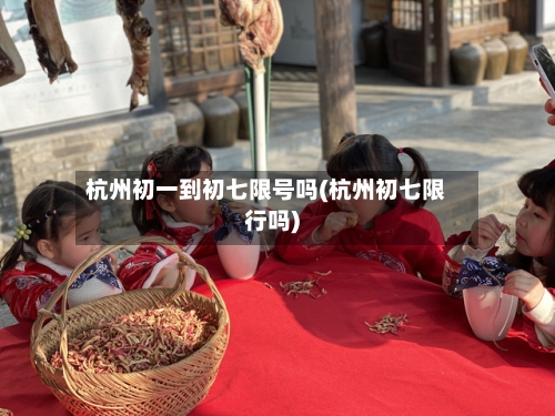 杭州初一到初七限号吗(杭州初七限行吗)