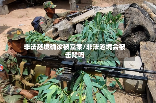 非法越境确诊被立案/非法越境会被击毙吗