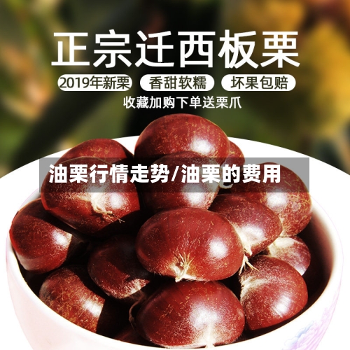 油栗行情走势/油栗的费用