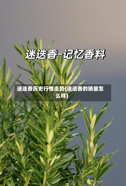 迷迭香历史行情走势(迷迭香的销量怎么样)