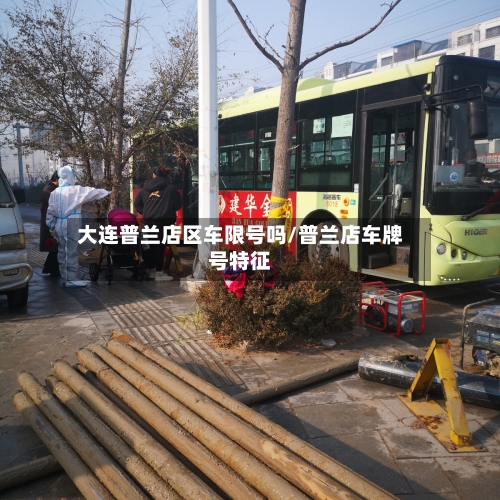 大连普兰店区车限号吗/普兰店车牌号特征