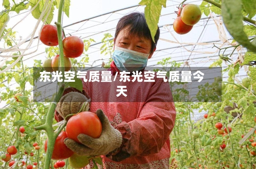 东光空气质量/东光空气质量今天