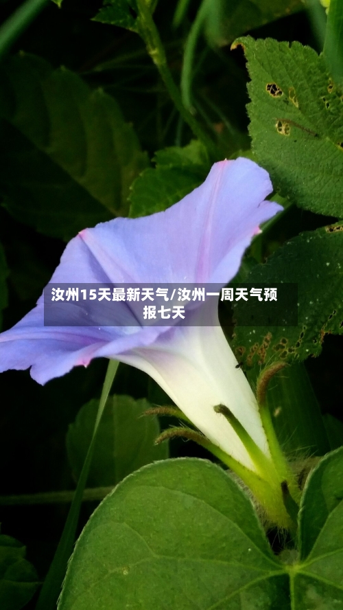 汝州15天最新天气/汝州一周天气预报七天