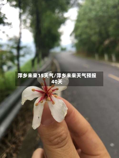 萍乡未来15天气/萍乡未来天气预报40天