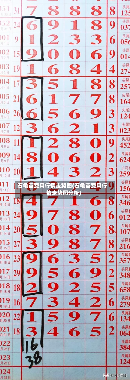 石龟苗费用行情走势图(石龟苗费用行情走势图分析)