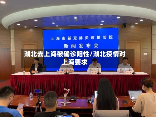 湖北去上海被确诊阳性/湖北疫情对上海要求