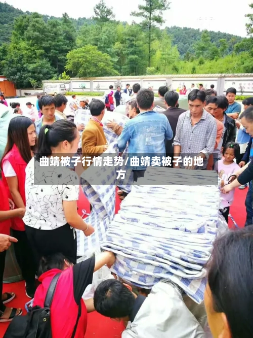 曲靖被子行情走势/曲靖卖被子的地方