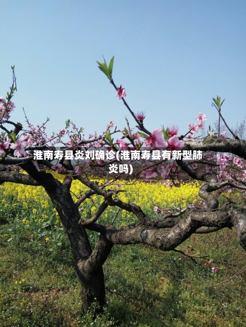 淮南寿县炎刘确诊(淮南寿县有新型肺炎吗)