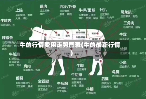 牛的行情费用走势图表(牛的最新行情)