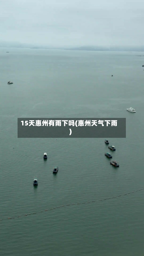 15天惠州有雨下吗(惠州天气下雨)