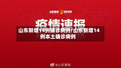 山东新增14例确诊病例/山东新增14例本土确诊病例