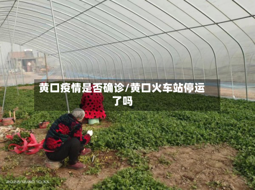 黄口疫情是否确诊/黄口火车站停运了吗