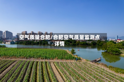 空气质量合肥/合肥空气质量监测点详情