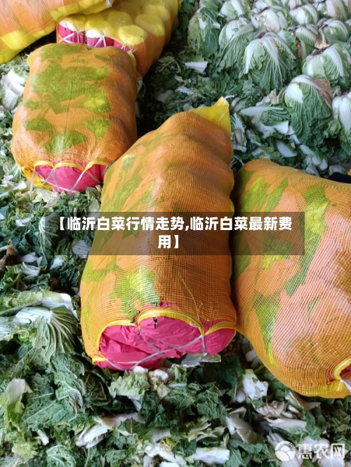【临沂白菜行情走势,临沂白菜最新费用】