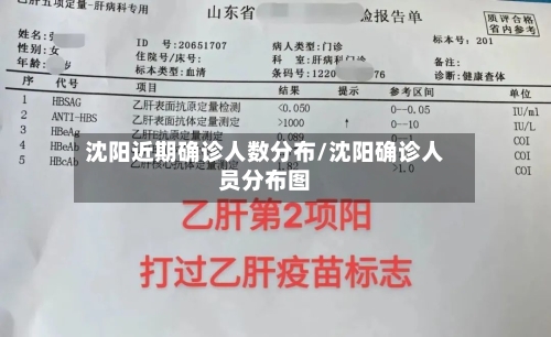 沈阳近期确诊人数分布/沈阳确诊人员分布图