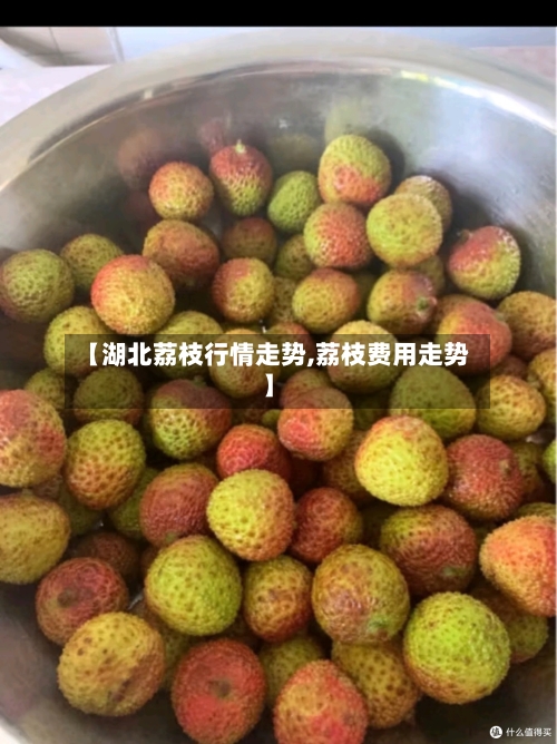 【湖北荔枝行情走势,荔枝费用走势】