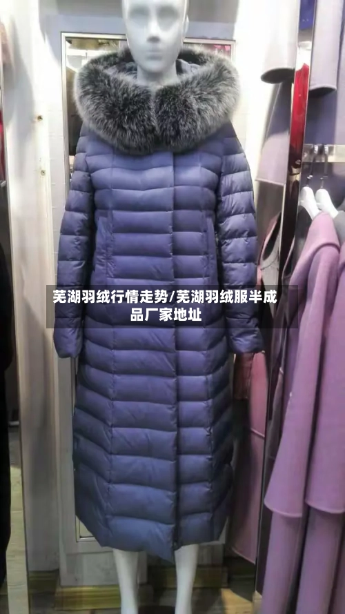 芜湖羽绒行情走势/芜湖羽绒服半成品厂家地址