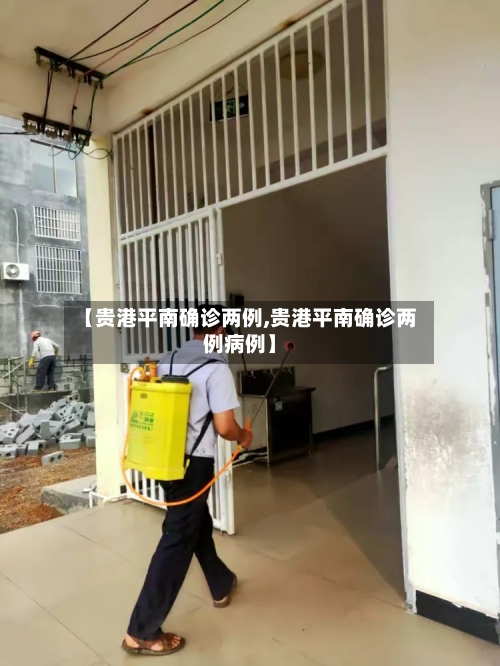 【贵港平南确诊两例,贵港平南确诊两例病例】