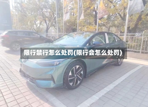 限行禁行怎么处罚(限行会怎么处罚)