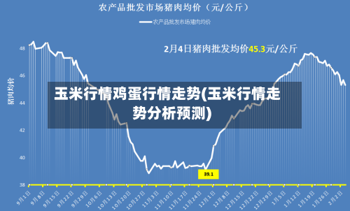 玉米行情鸡蛋行情走势(玉米行情走势分析预测)