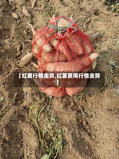 【红薯行情走势,红薯费用行情走势】