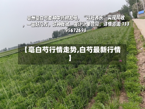 【亳白芍行情走势,白芍最新行情】
