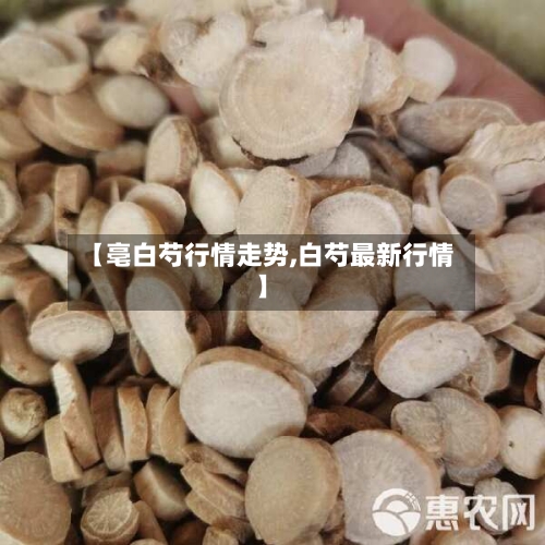 【亳白芍行情走势,白芍最新行情】