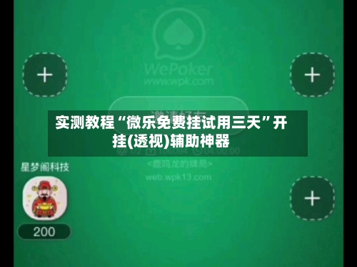 实测教程“微乐免费挂试用三天”开挂(透视)辅助神器