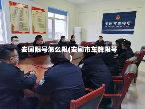安国限号怎么限(安国市车牌限号)