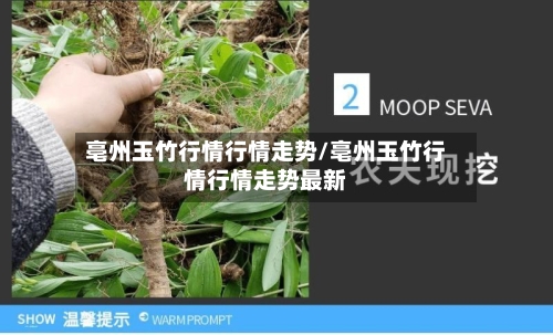 亳州玉竹行情行情走势/亳州玉竹行情行情走势最新