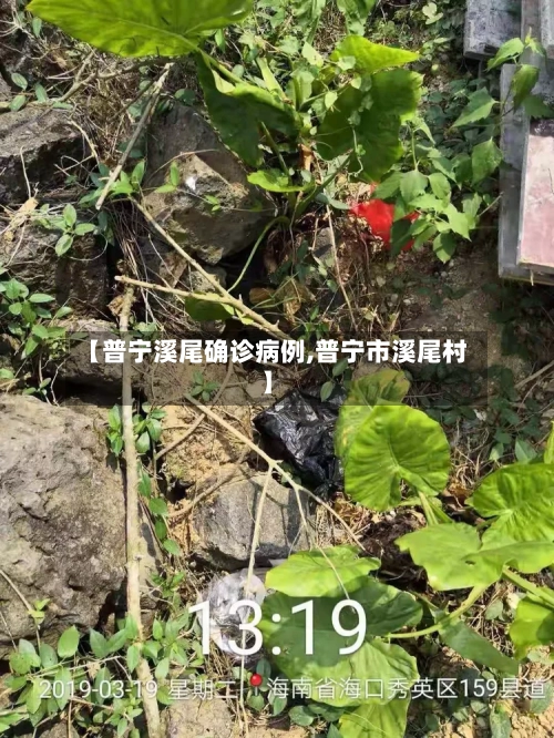 【普宁溪尾确诊病例,普宁市溪尾村】
