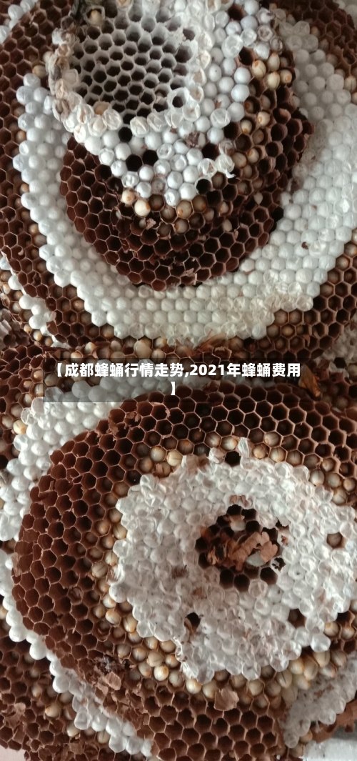 【成都蜂蛹行情走势,2021年蜂蛹费用】