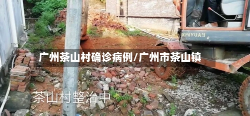 广州茶山村确诊病例/广州市茶山镇