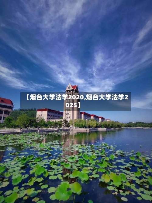 【烟台大学法学2020,烟台大学法学2025】
