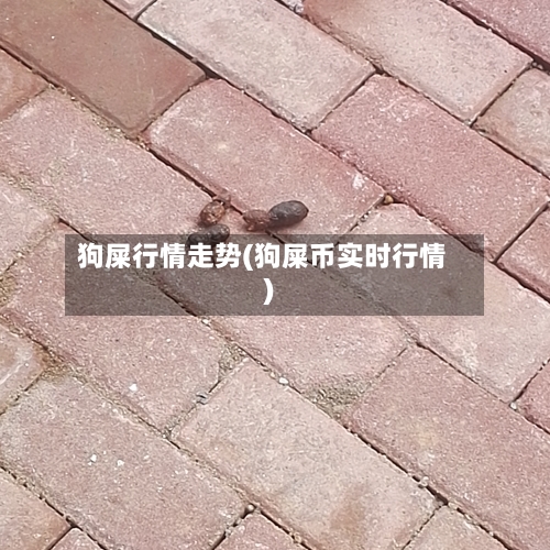 狗屎行情走势(狗屎币实时行情)