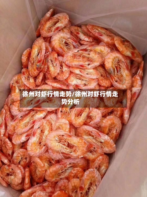 徐州对虾行情走势/徐州对虾行情走势分析