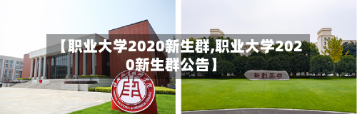 【职业大学2020新生群,职业大学2020新生群公告】